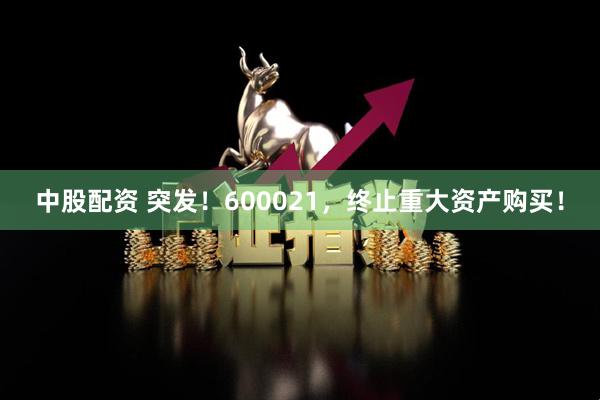 中股配资 突发！600021，终止重大资产购买！