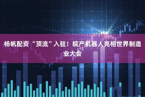 杨帆配资 “顶流”入驻！皖产机器人亮相世界制造业大会