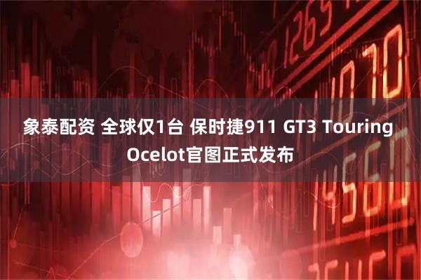 象泰配资 全球仅1台 保时捷911 GT3 Touring Ocelot官图正式发布