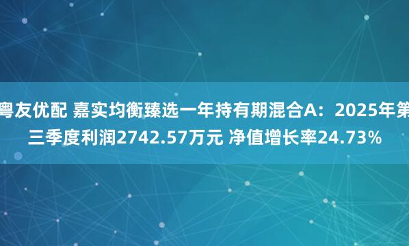 粤友优配 嘉实均衡臻选一年持有期混合A：2025年第三季度利润2742.57万元 净值增长率24.73%